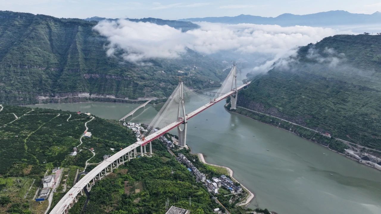 1755738472053045640.jpg 1.jpg